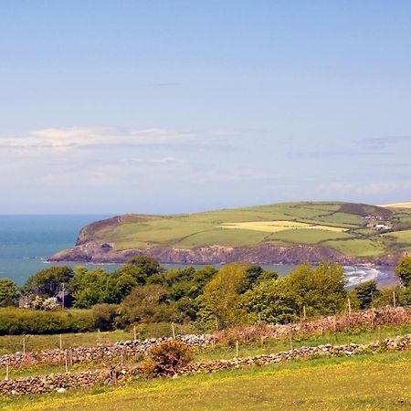 Garn Isaf Newport (Pembrokeshire) Bagian luar foto