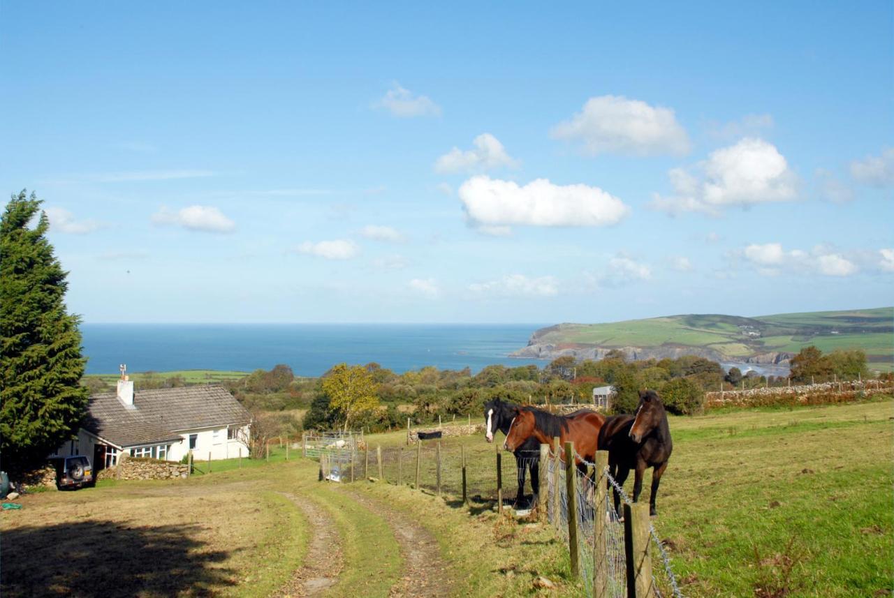 Garn Isaf Newport (Pembrokeshire) Bagian luar foto